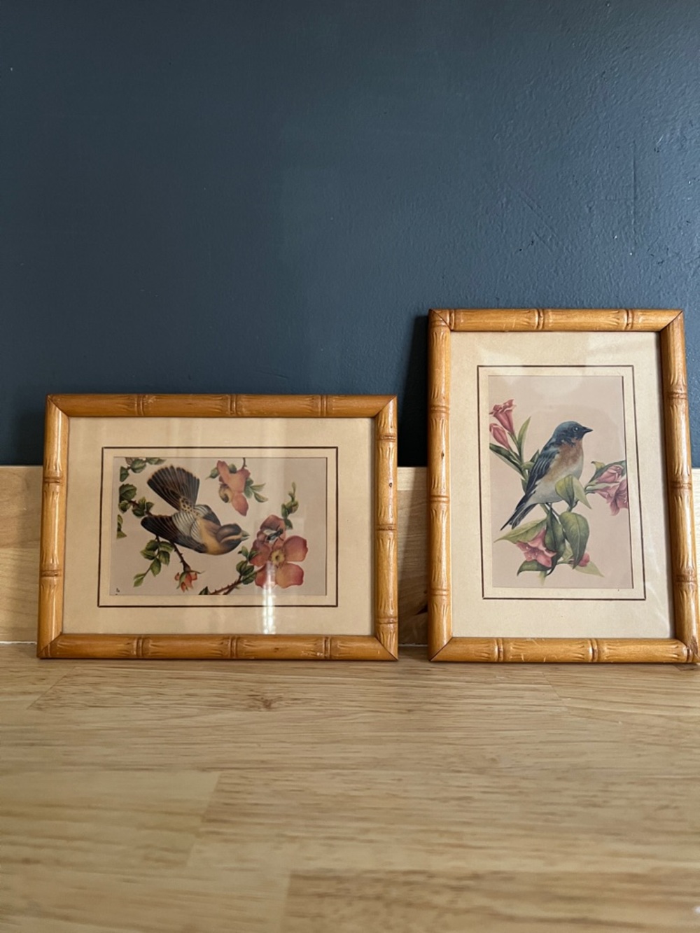 Vintage pair of framed bird prints bamboo like frames 5” X 7” very sweet